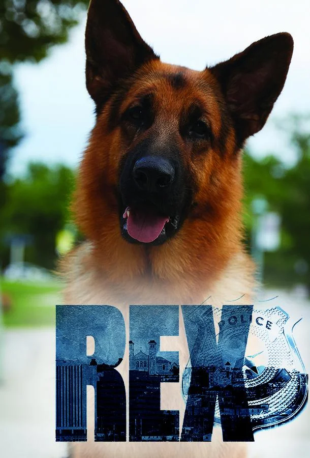 Хадсон и Рекс 1-8 сезоны Сериал2019смотреть онлайн бесплатно